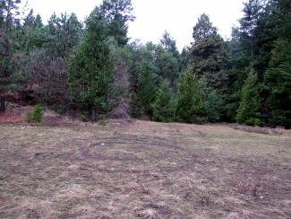 approaching the entrance