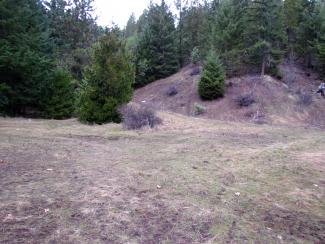 approaching the entrance