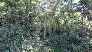 to the left of the road