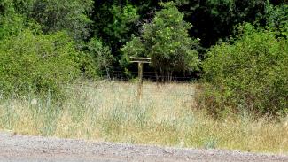 Siskiyou Mountain Wagon Road