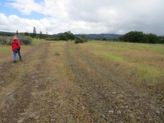 visible section of old road